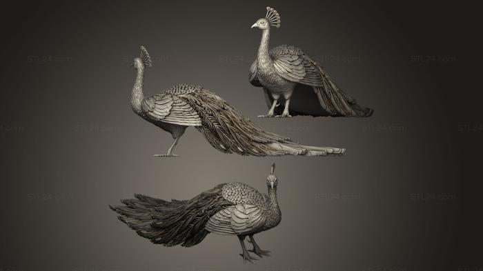 Bird figurines (peacock, STKB_0060) 3D models for cnc